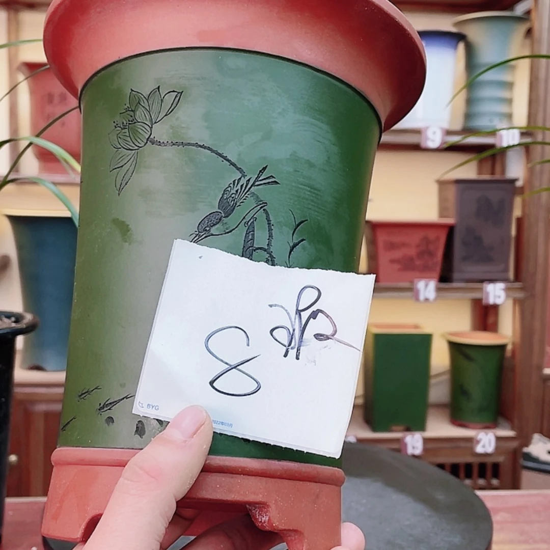 【闪购商品】紫砂花盆海*石兰花475668855558855588