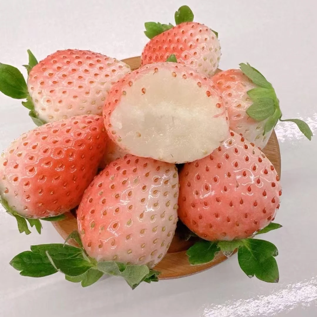 粉玉草莓小果1000g