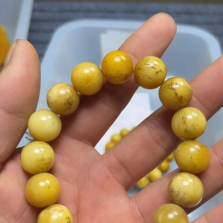 木Q01大果紫檀缅甸花梨