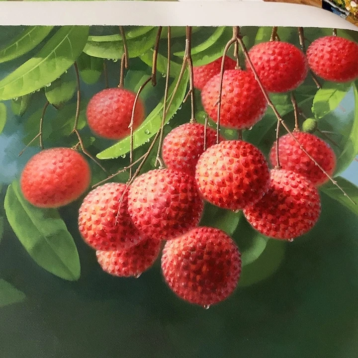 油画50*60手绘油画