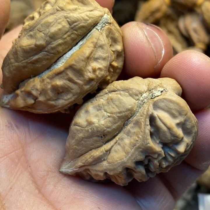 吊坠文玩核桃娜姐165