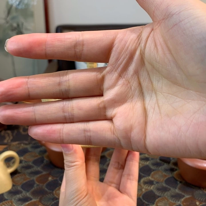 紫砂茶壶三****风本绿宫灯