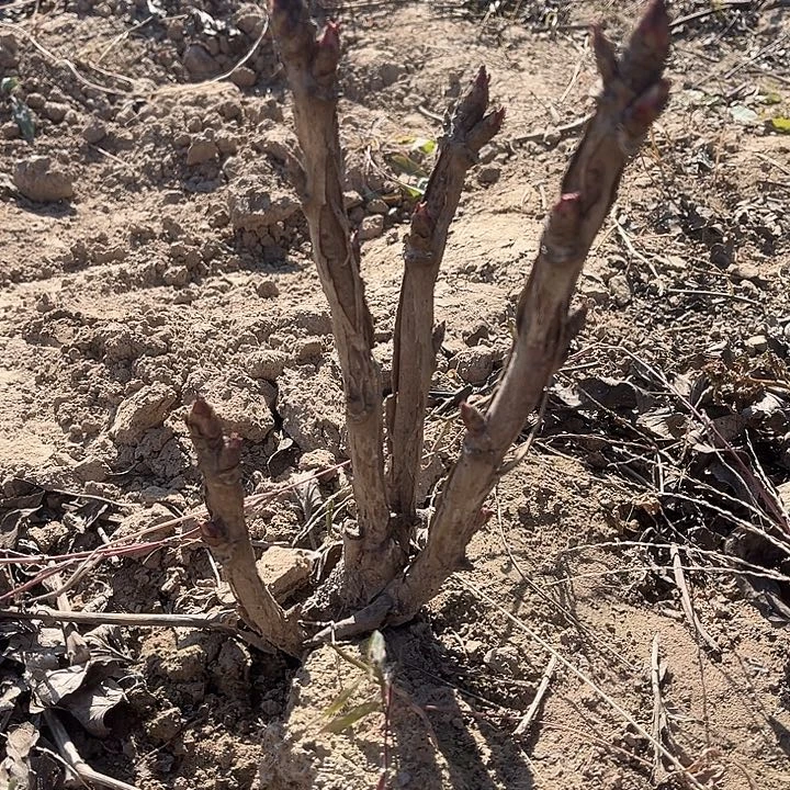 完全开放11111111