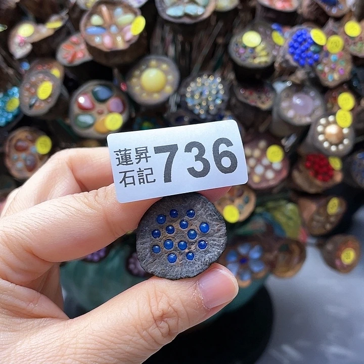 核桃木/黑胡桃（胡桃木）?****?736