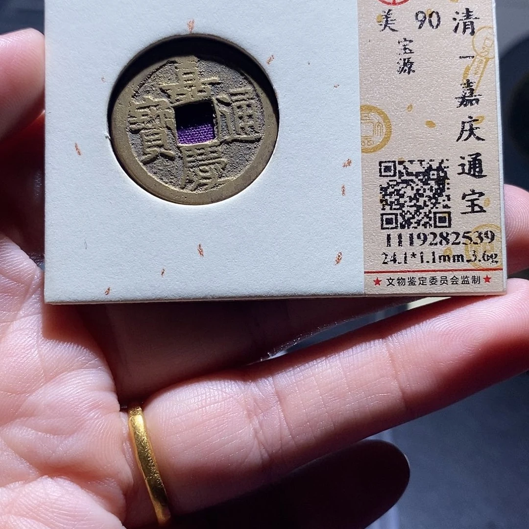 贝壳11 恭喜发财恭喜发财