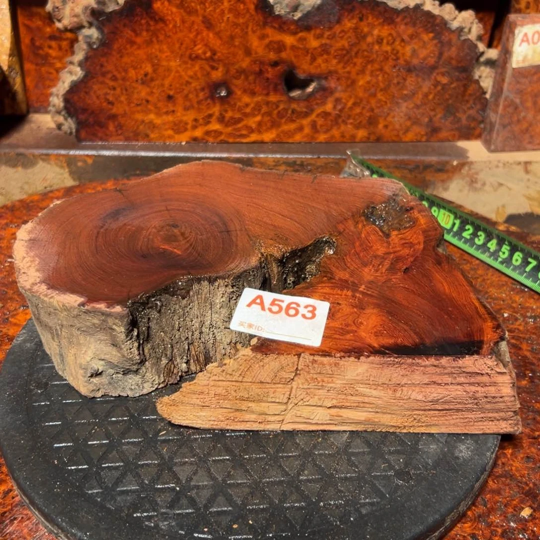 大果紫檀（缅甸花梨）