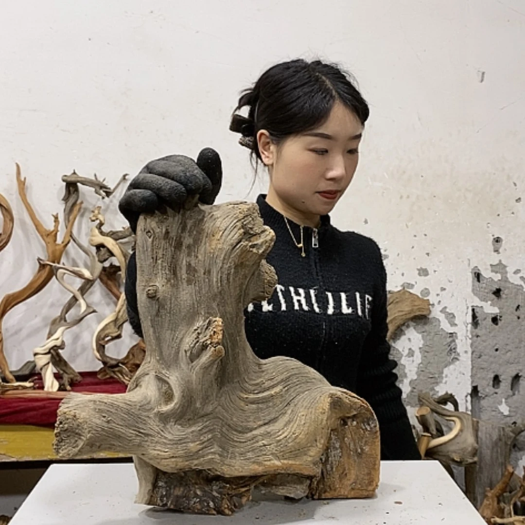 【闪购商品】柏木子**L我们都是好孩子