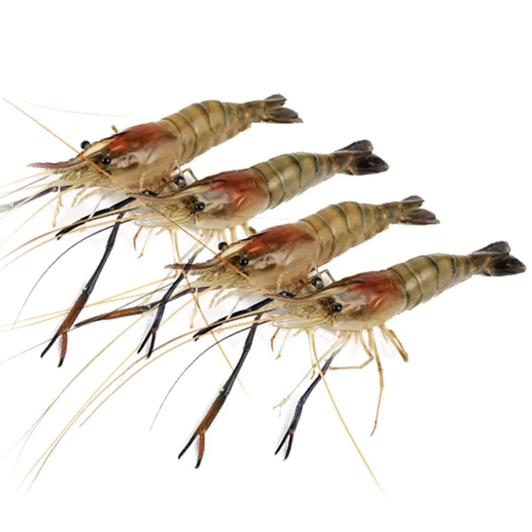 鲜活带膏大头虾罗氏虾3斤±50g/份