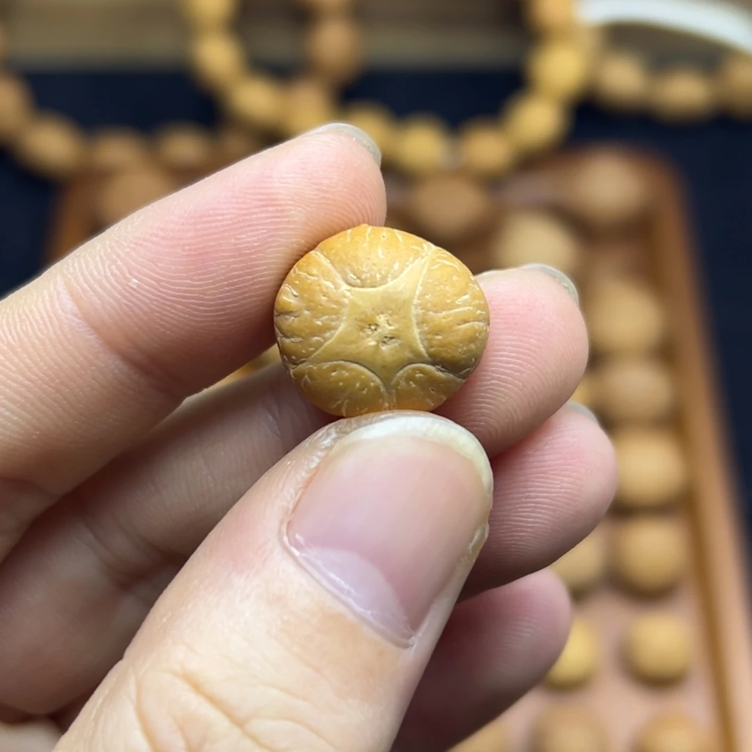 凤眼菩提手串17.6五星上将