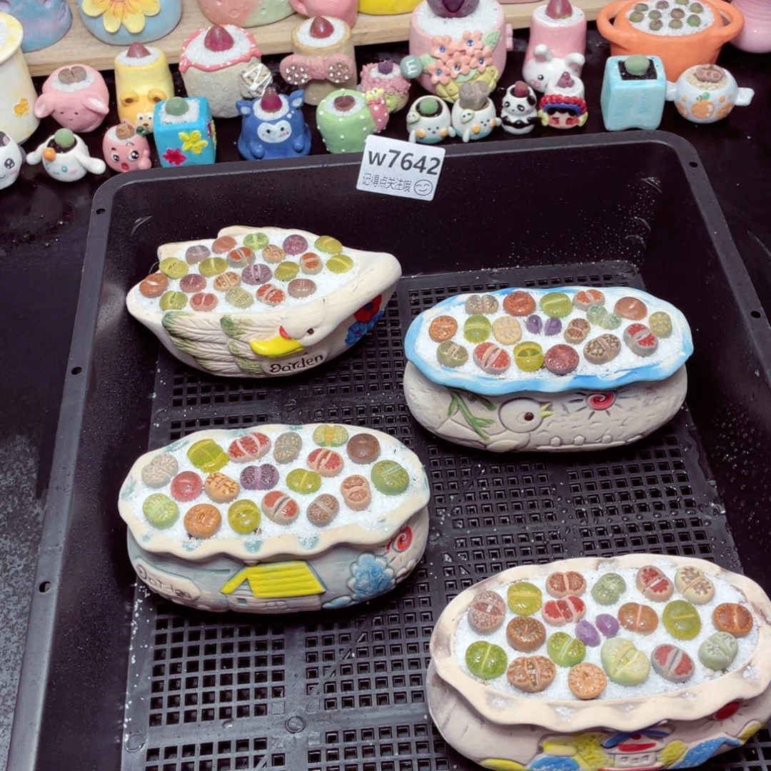 w7642天鹅 小鸟 房子 风车 一份一盆量拍