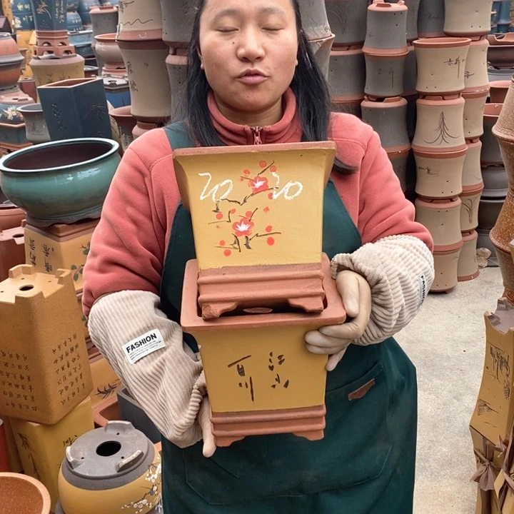 紫砂花盆盆栽花卉苗木种植