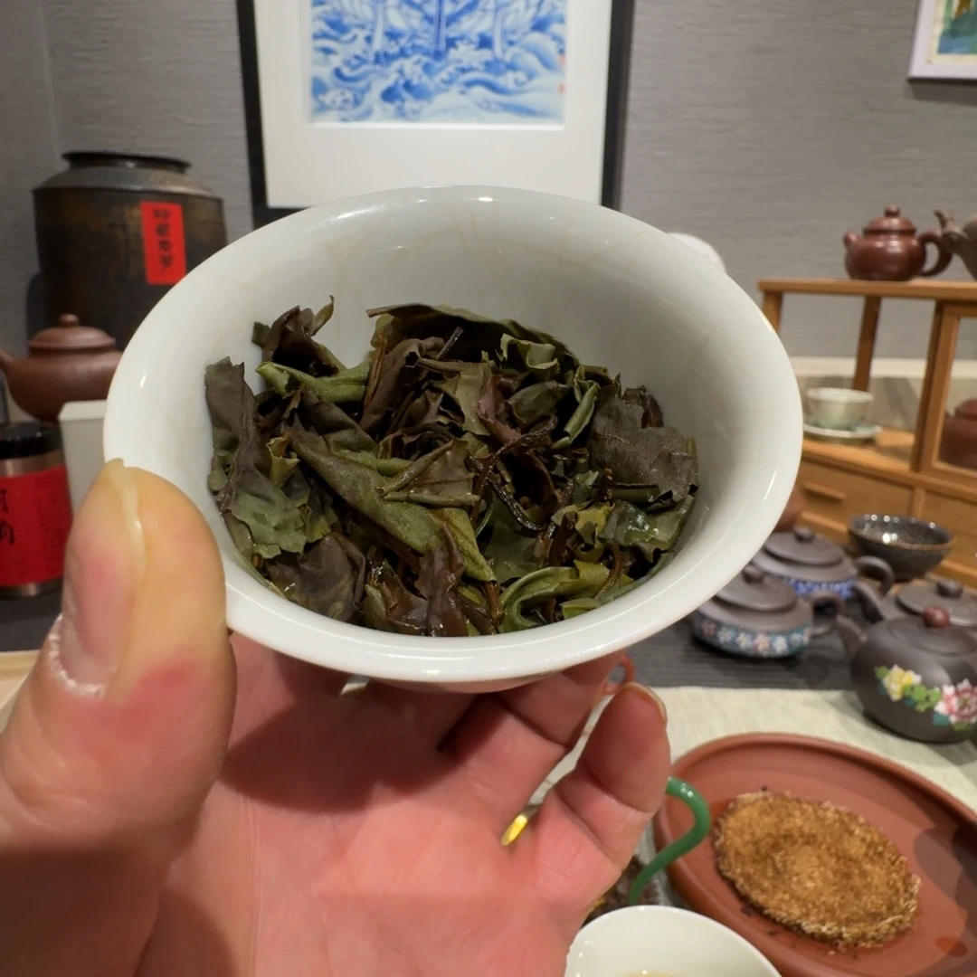 野生野生白茶白茶