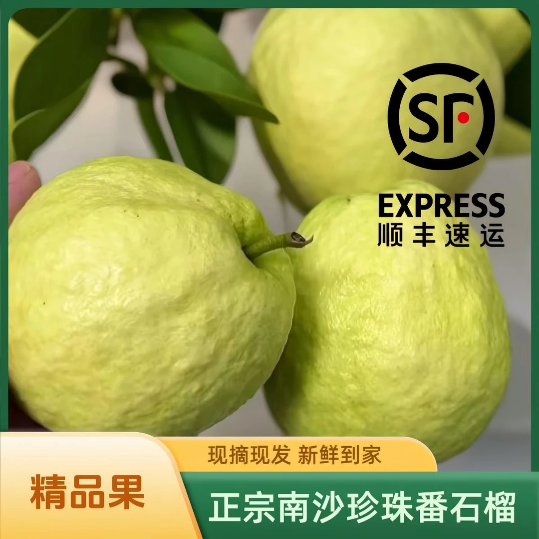 【脆芭乐】脆口清甜水果低糖白心番石榴送酸梅粉优质（顺丰包邮）