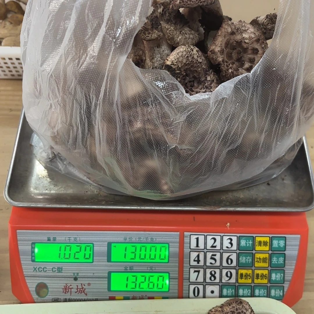 凝***云南小表妹野生菌代购中国大陆