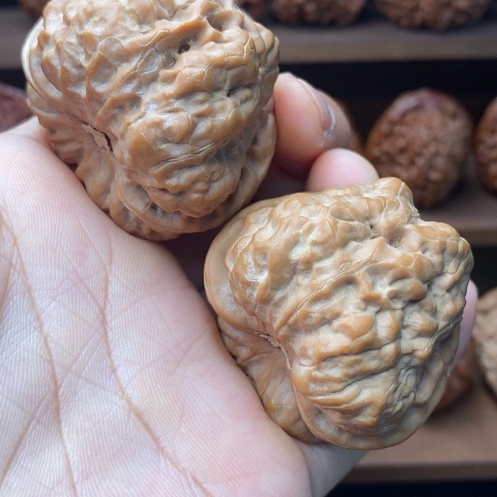 j***龙脊菩提吊坠蛙蛙蛙45尺