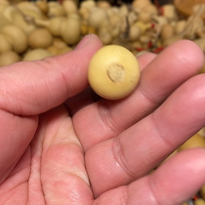 大**利精品葫芦手把葫芦22