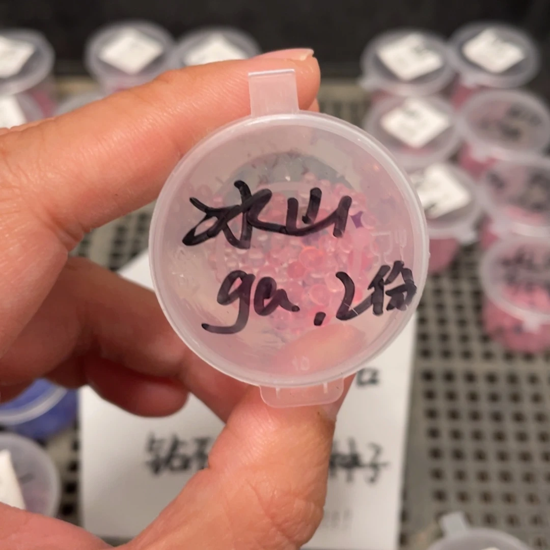 冰山珍妮✖️美嘎20粒，新品推荐，最后一份