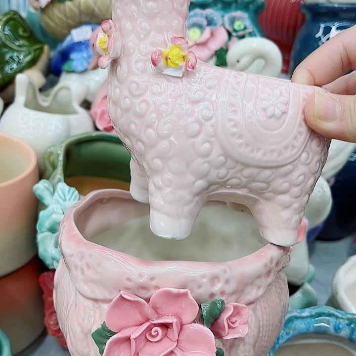 多肉植物陶瓷花盆