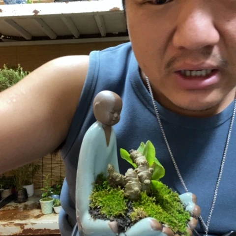 红陶残**声一物一拍所见即所得163