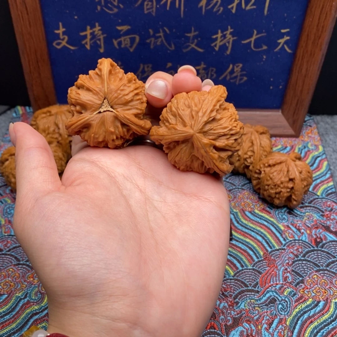 【闪购商品】终**人白狮