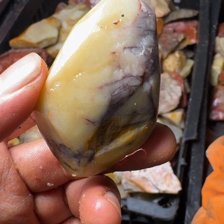 牛***果寿山石寿山石的种类