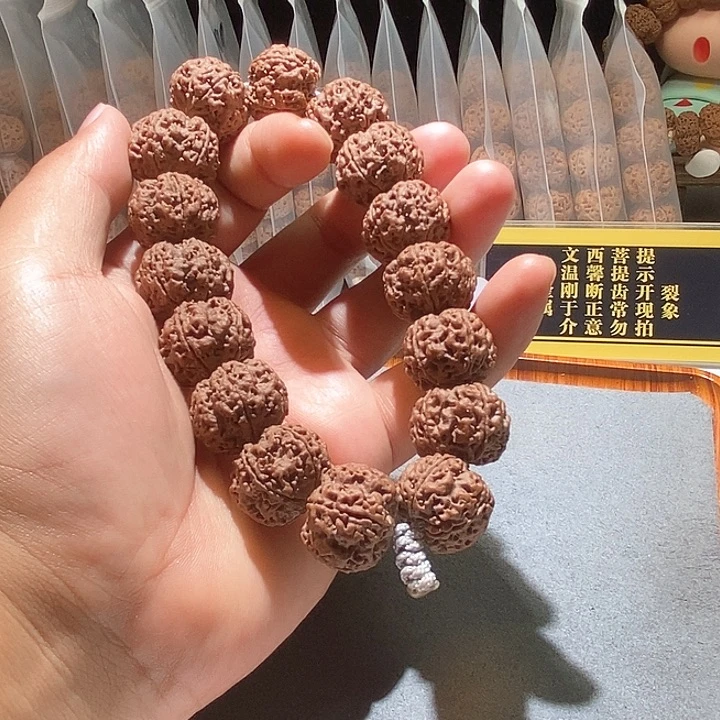 吊坠金刚菩提矮桩红皮双龙梅花21.8mm