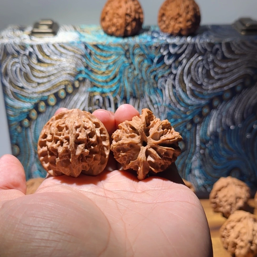 树王苹果全品无修