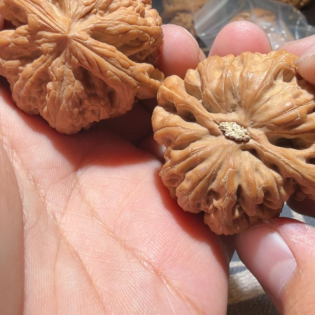 文玩核桃吊坠大粗筋