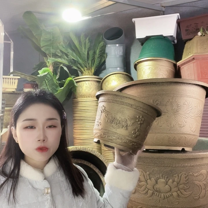 梅花30花盆6个有孔