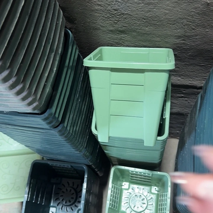 编号103果绿无托10个