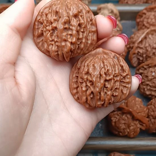 核桃四座楼狮子头狮子头