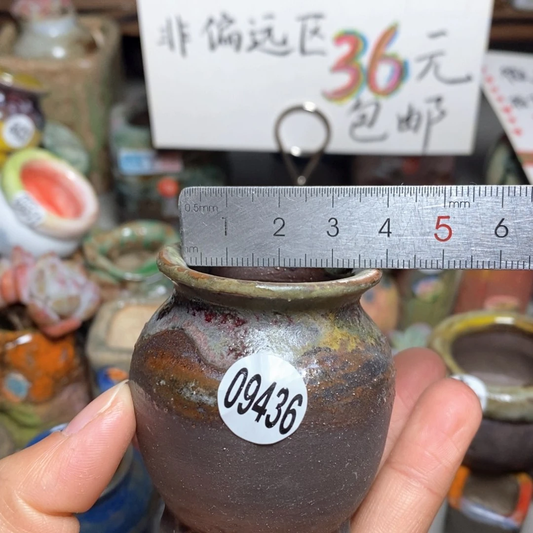 花盆拍5送一个小礼物