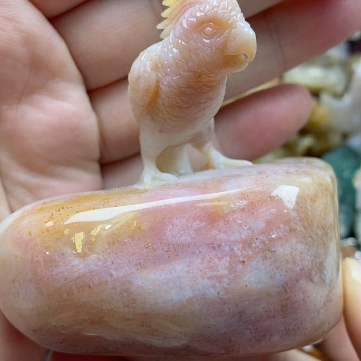 硅化珊瑚（珊瑚玉）颈饰未镶嵌