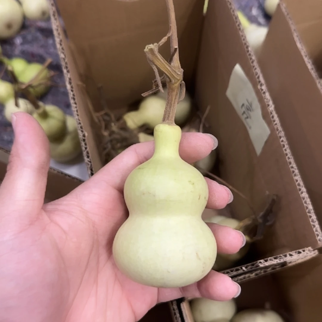 @****葫芦dnsndnssnsnsn