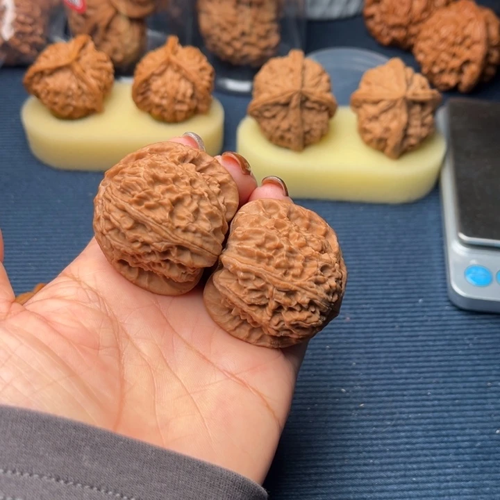 文玩核桃吊坠42白狮子全品