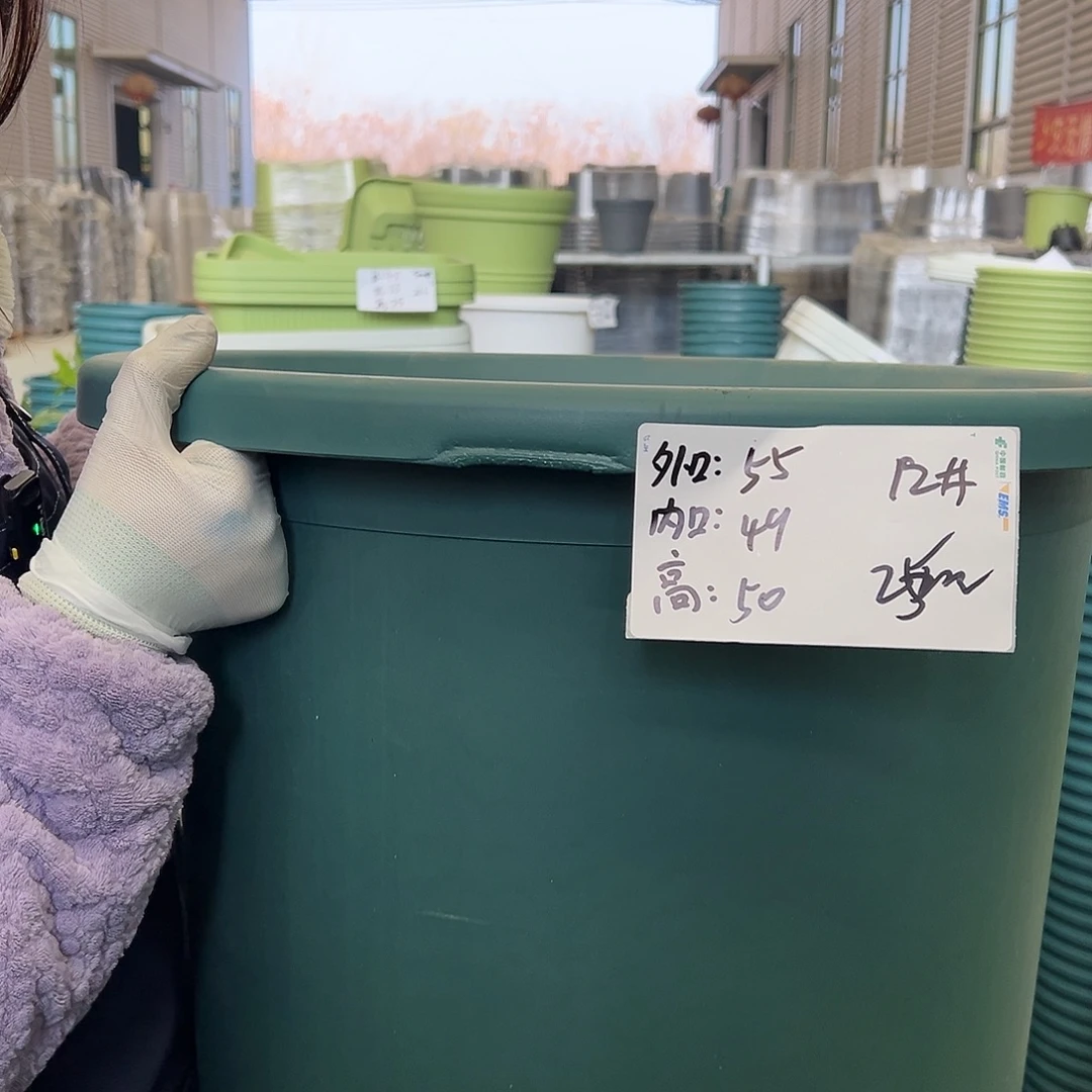 瑕疵四季盆12#墨绿2个无托