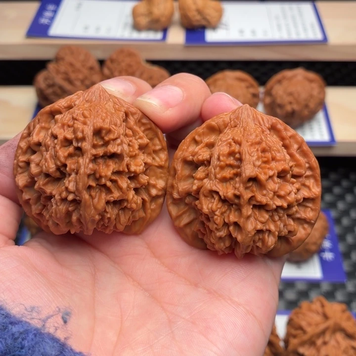 核桃11号全品44尺满天星