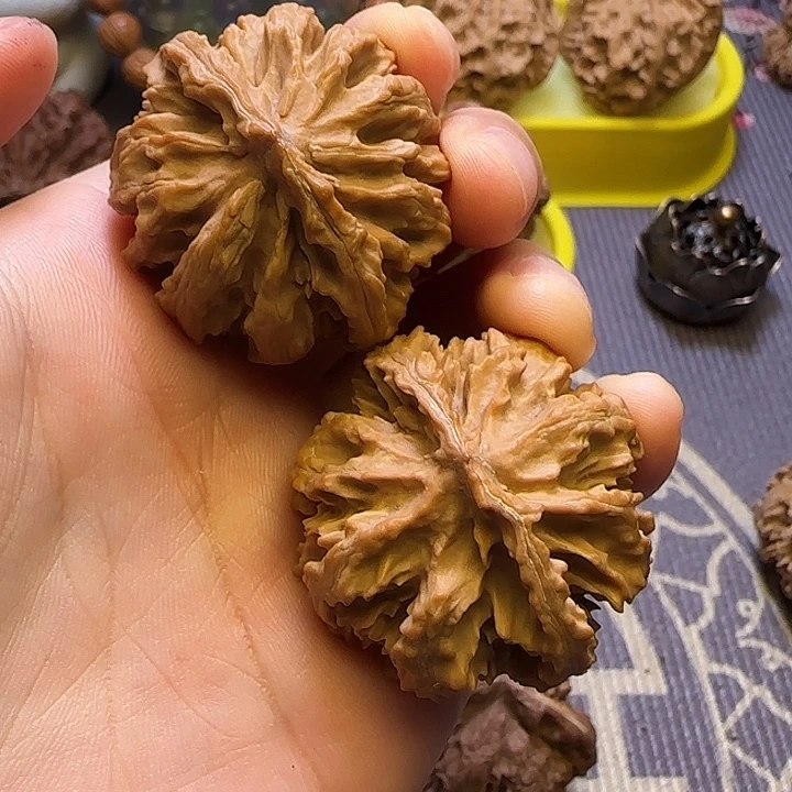 《***》文玩核桃把件核桃8