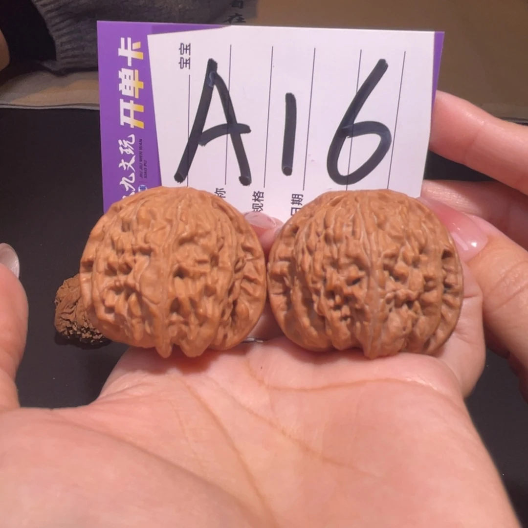 把件文玩核桃40白狮子全品