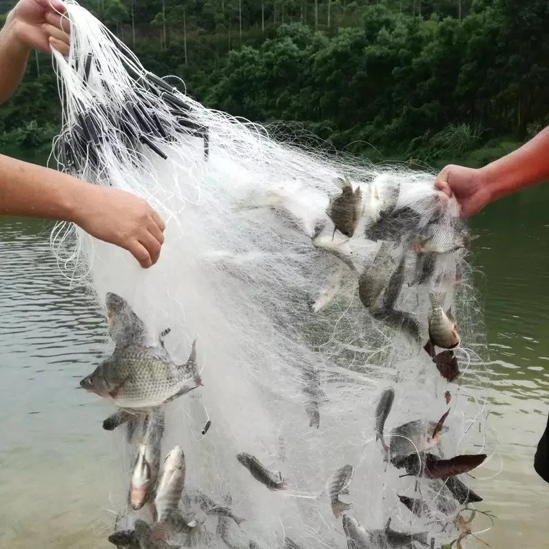 5分6分7分8分小网眼粘网三层渔网小白条餐条麦穗马口溪石斑捕鱼网