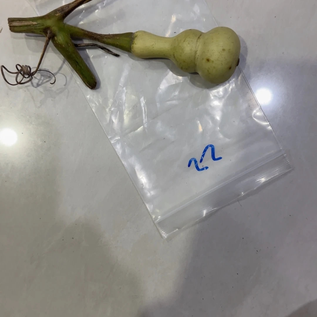 旋***1青皮不包成功不拆盒的我都可以