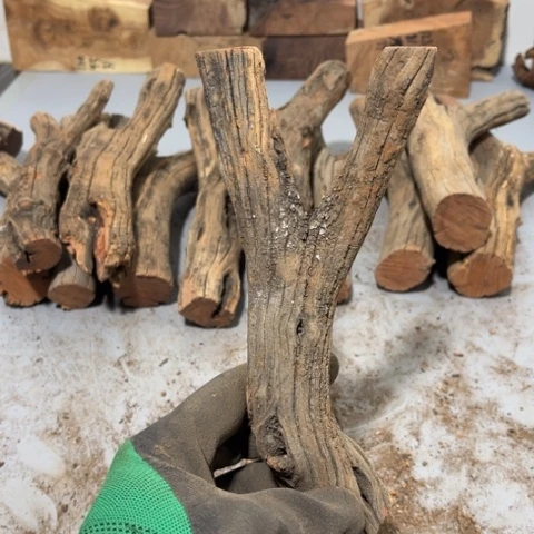 大果紫檀（缅甸花梨）N*