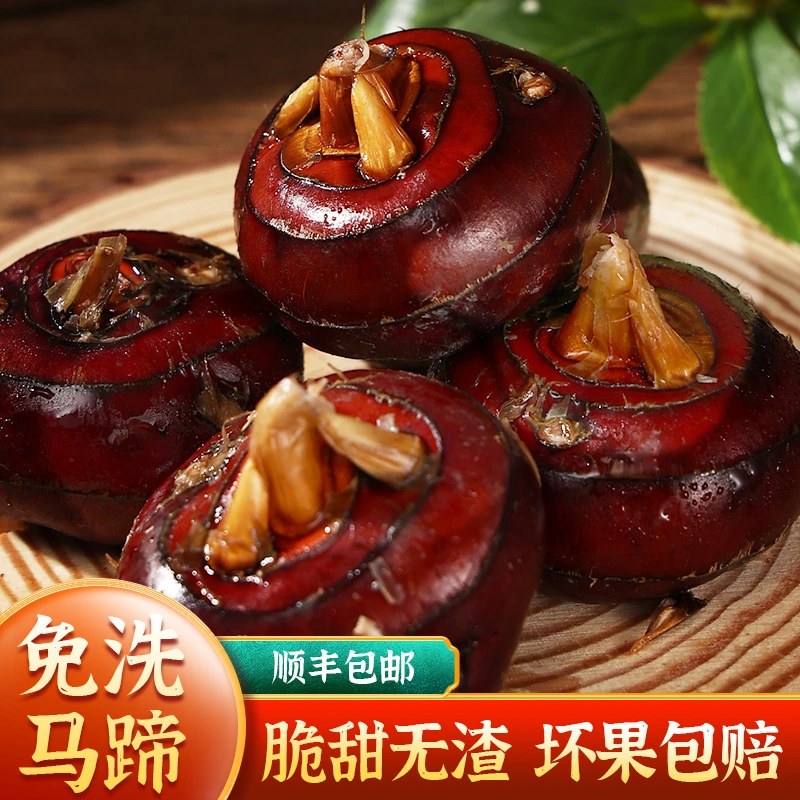 【顺丰包邮】免洗马蹄荸荠土地梨现挖即食脆甜多汁马蹄荸荠新鲜大果