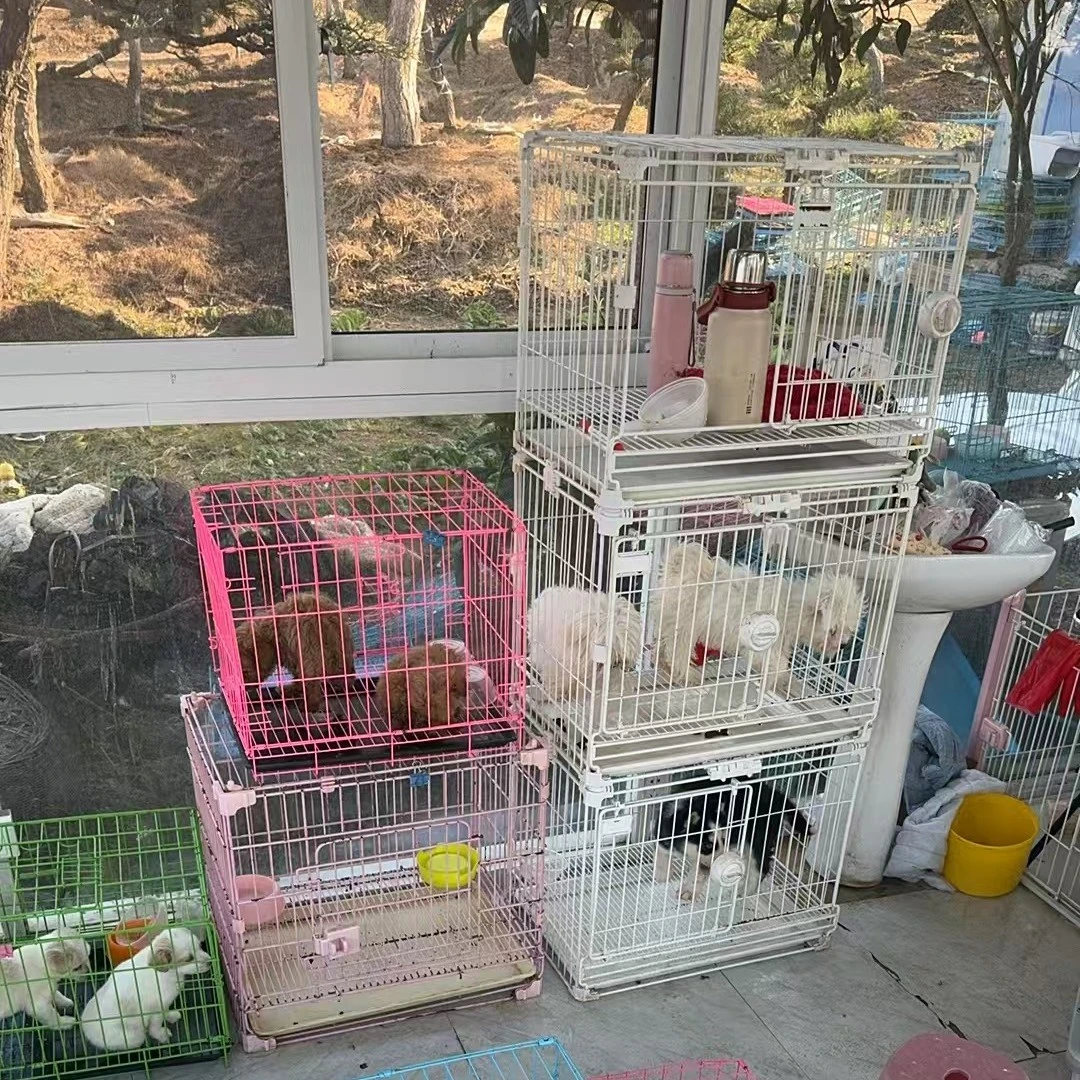 定制白色狗笼一号连接金毛黑色狗笼了解更多细节泰迪比熊绿色狗笼