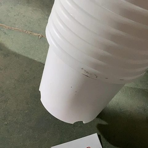 树脂编号427瑕疵