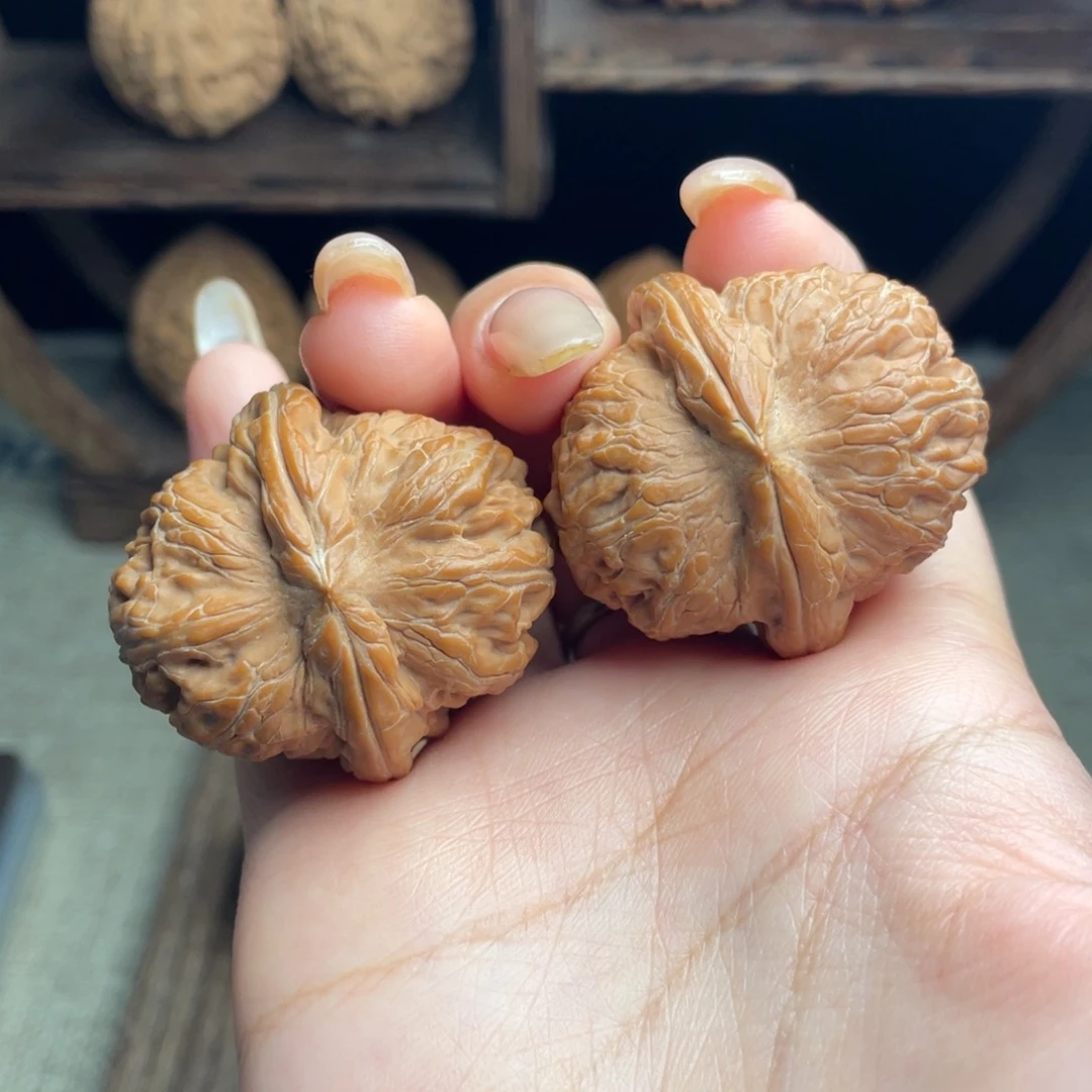 木质元宝38 全品白茬精配毕业红皮