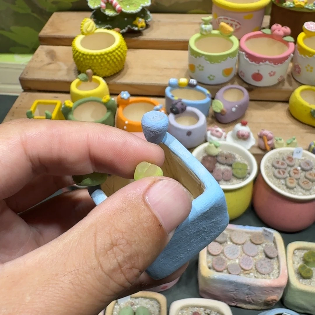 格***调蘑菇1186花花花花花花