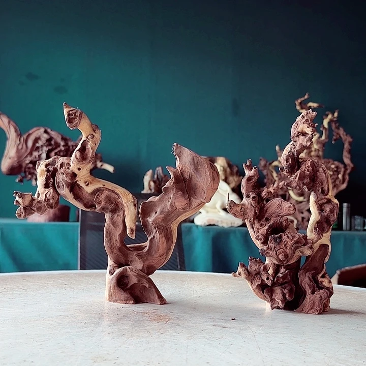 黑果木木*缘576 金丝红木羊蹄甲半成品到手2件