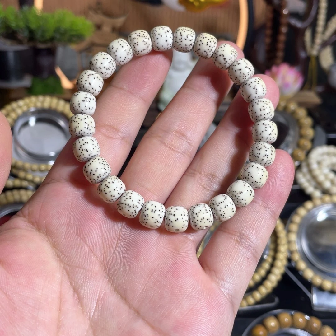 星月菩提吊坠子**不原生态9×8单圈