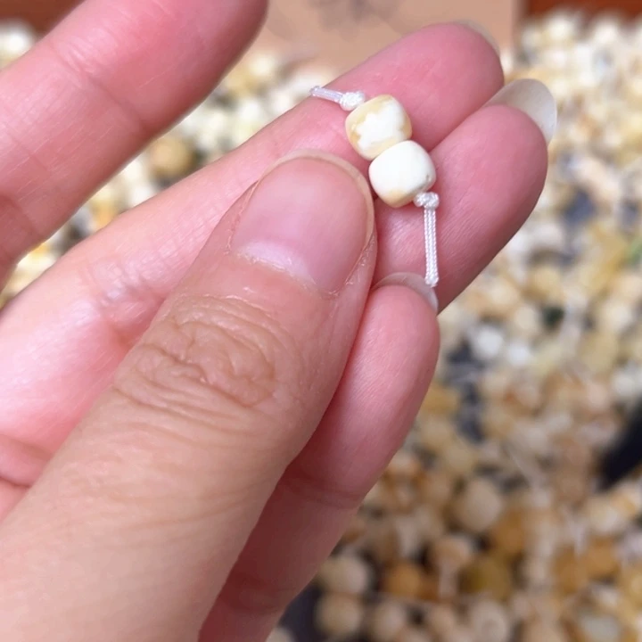 蜜蜡未镶嵌裸石6.1mm一对